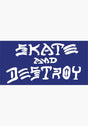 Skate and Destroy Medium Sticker blue Vorderansicht