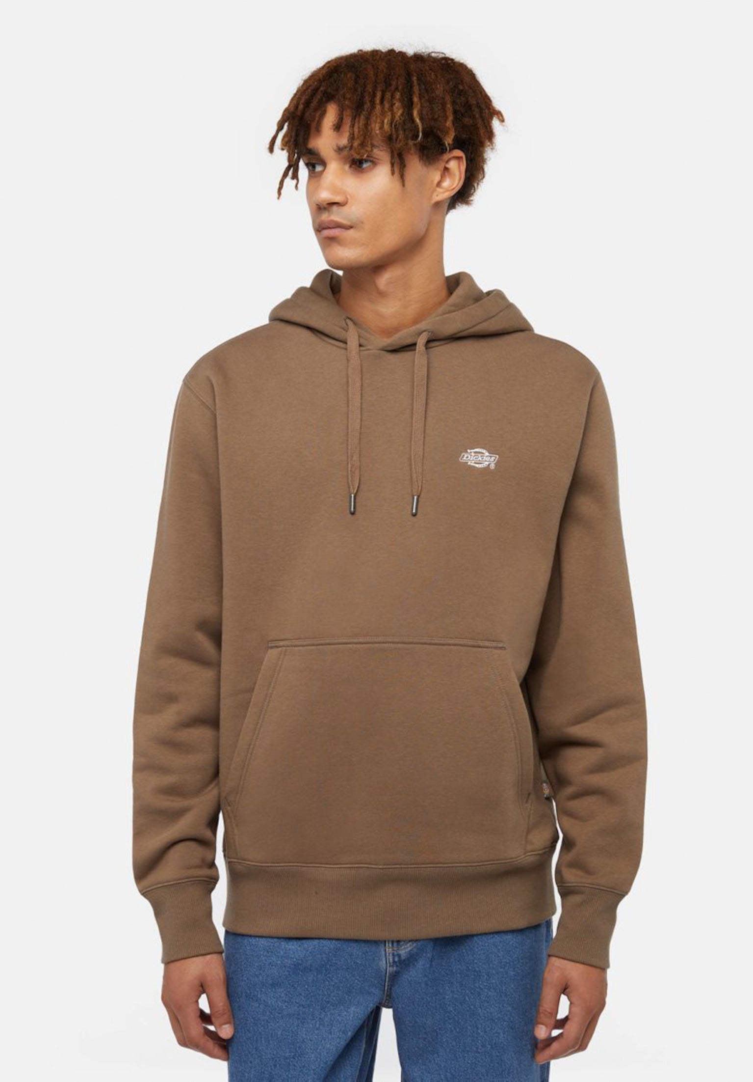 Summerdale Dickies Hoodie in mushroom for men – TITUS