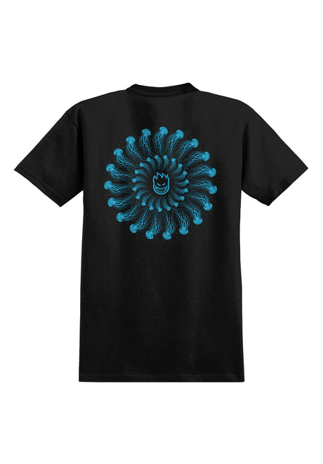 x Atlantic Drift Jelly Classic black Vorderansicht