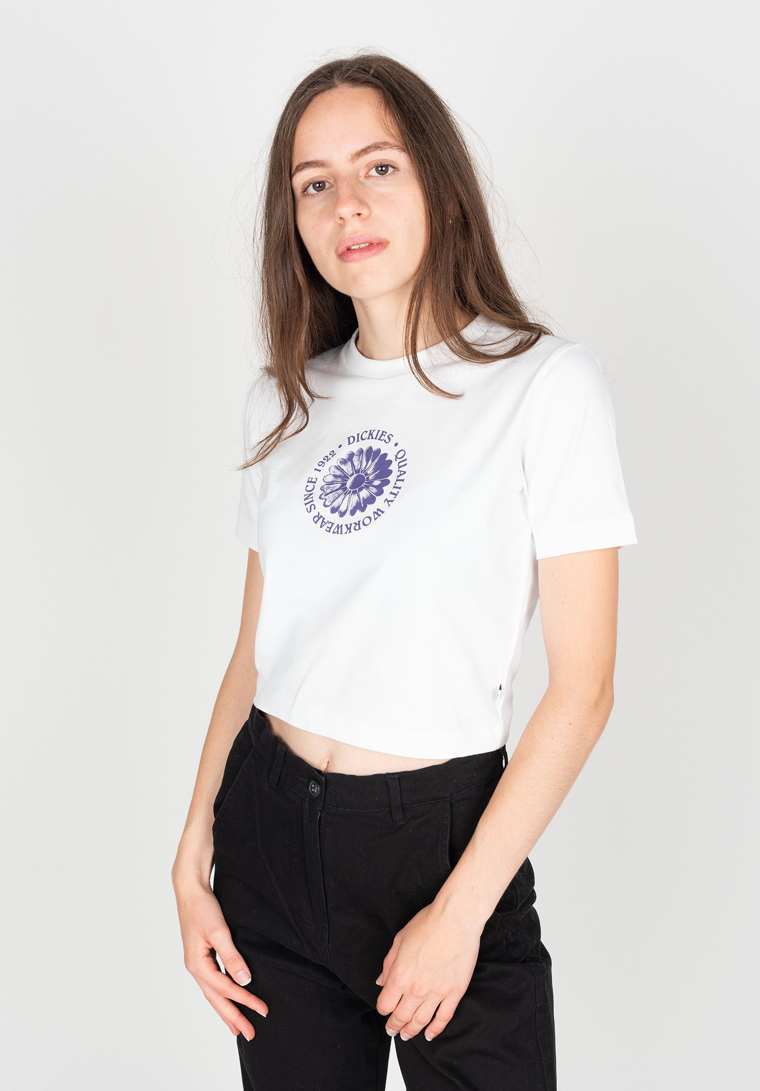 Dickies plain t shirt online